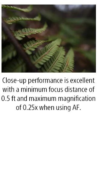 Close-up performance is excellent with a minimum focus distance of 0.5 ft and maximum magnification of 0.25x when using AF.
