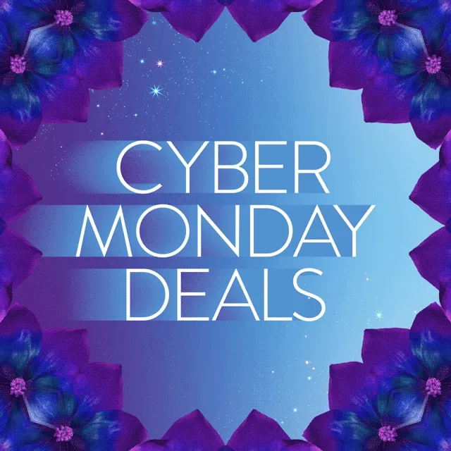 Cyber Monday deals.