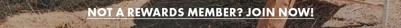 Not a rewards member? Join now!