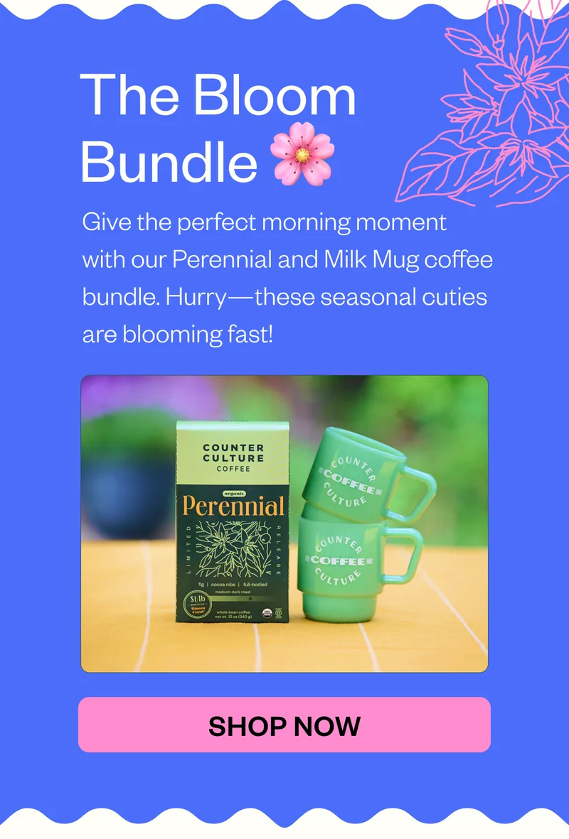 The Bloom Bundle 🌸  Give the perfect morning moment with our Perennial and Milk Mug coffee bundle. Hurry—these seasonal cuties are blooming fast!  CTA: SHOP THE BUNDLE