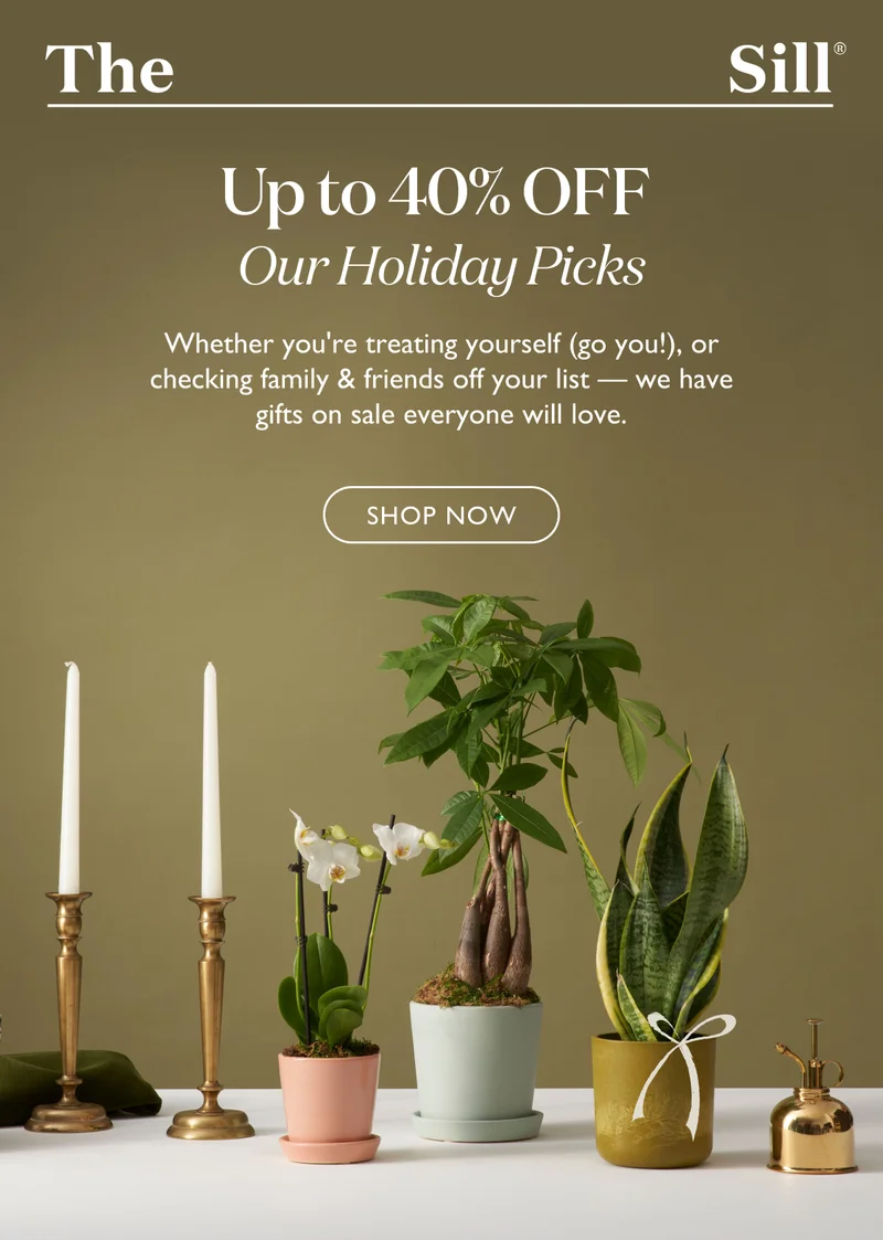 Whether you're treating yourself (go you!), or checking family and friends off your list – we have gifts on sale everyone will love. Shop up to 40% off now.