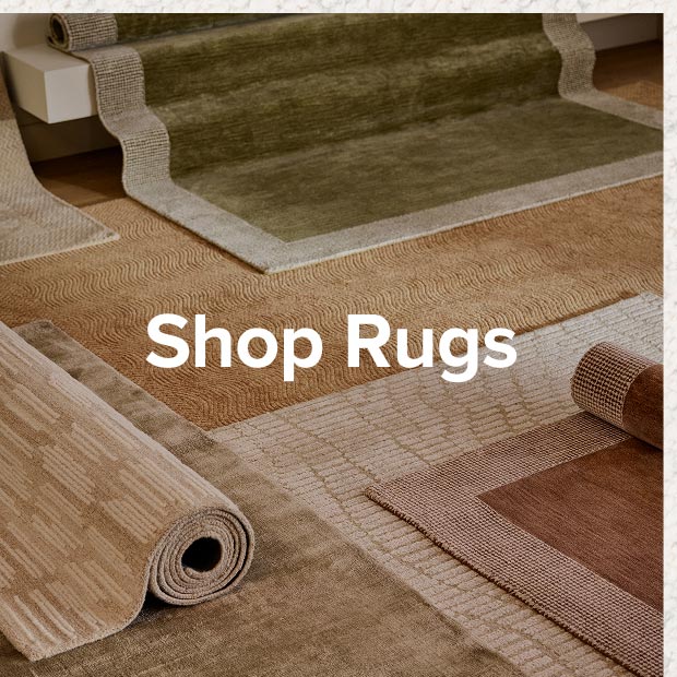Shop rugs