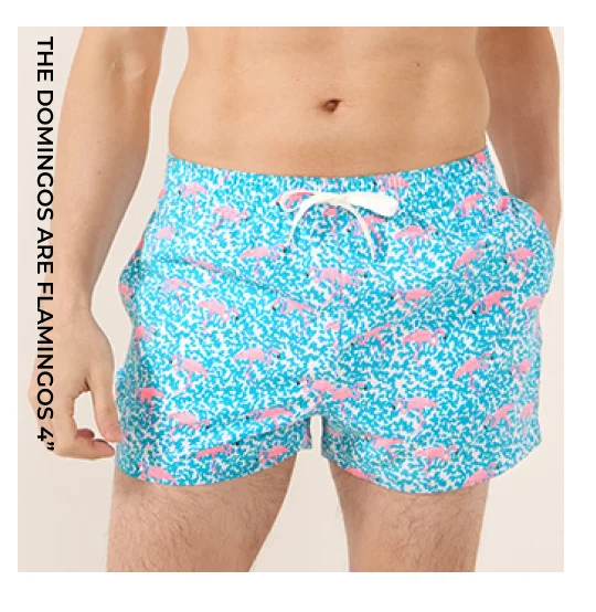 Classic Swim Trunk: The Domingos are Flamingos 4"
