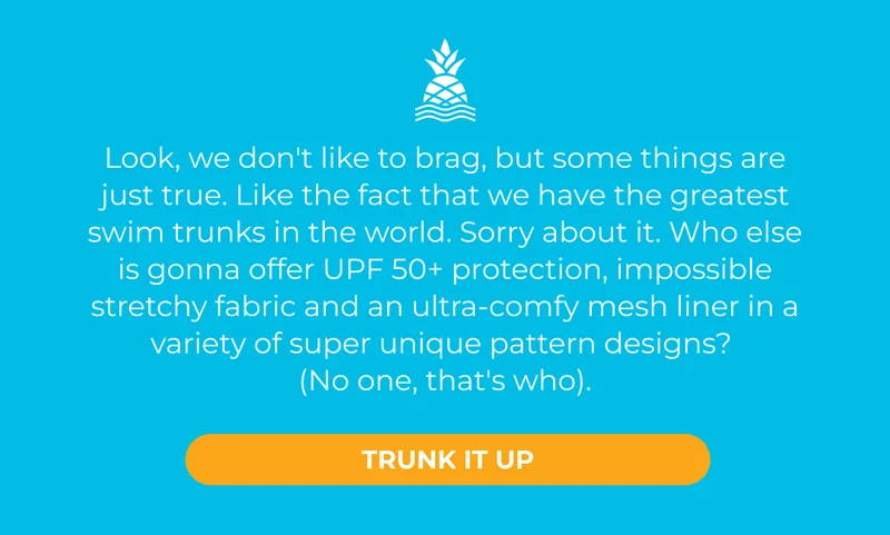 TRUNK IT UP
