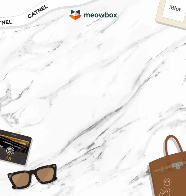 All that litters is gold. Image of a black white spotted cat sitting next to the Cats with Cash meowbox (featuring toys like the Fun in Sunnies, The Mini Purrkin Bag, Stack of Cashnip toys and more)