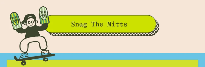 SNAG THE MITS