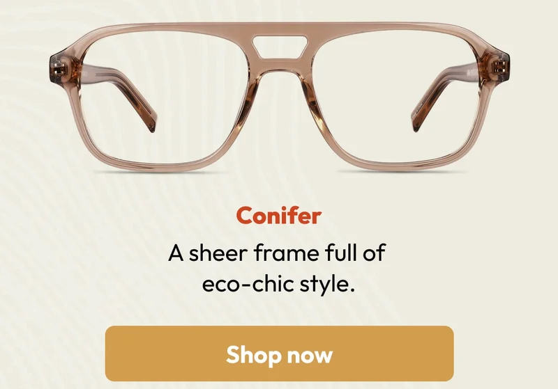 conifer