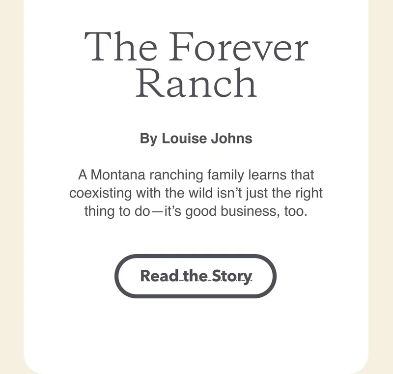 The Forever Ranch by Louise Johns