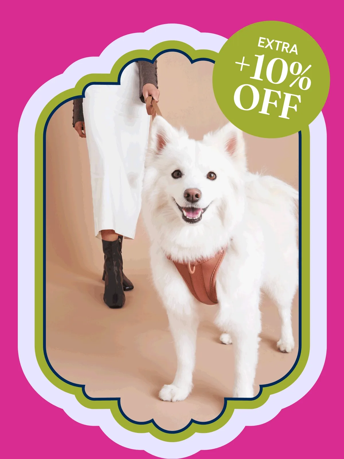 Dog smiling extra 10% off Walk Kits