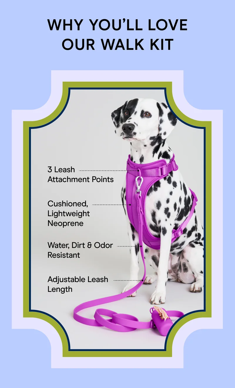 Why You’ll Love Our Walk Kit 3 Leash Attachment Points Cushioned, Lightweight Neoprene Water, Dirt & Odor Resistant Adjustable Leash Length