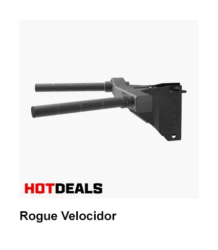 Rogue Velocidor