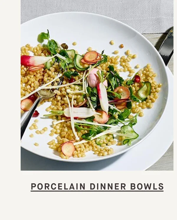 SHOP PORCELAIN DINNERBOWLS