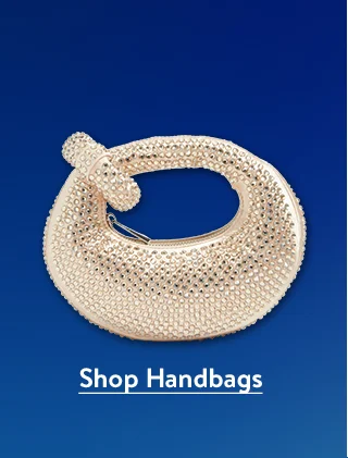 A sparkly silver bag.