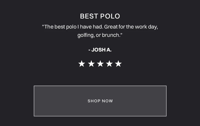 AO Polo