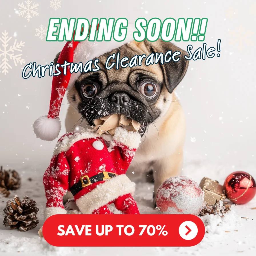 Christmas Clearance Sale