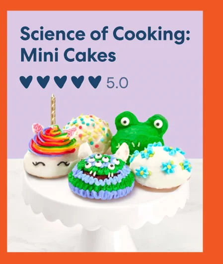 Science of Cooking: Mini Cakes
