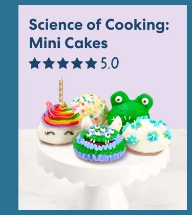 Science of Cooking: Mini Cakes
