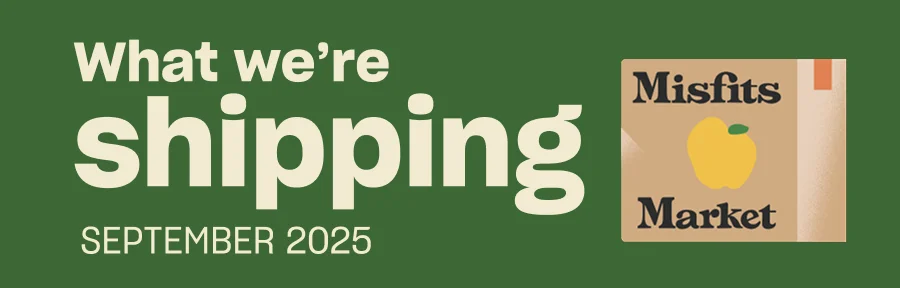 What we're shipping September What we're shipping September