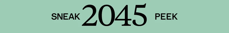 Sneak 2045 Peek