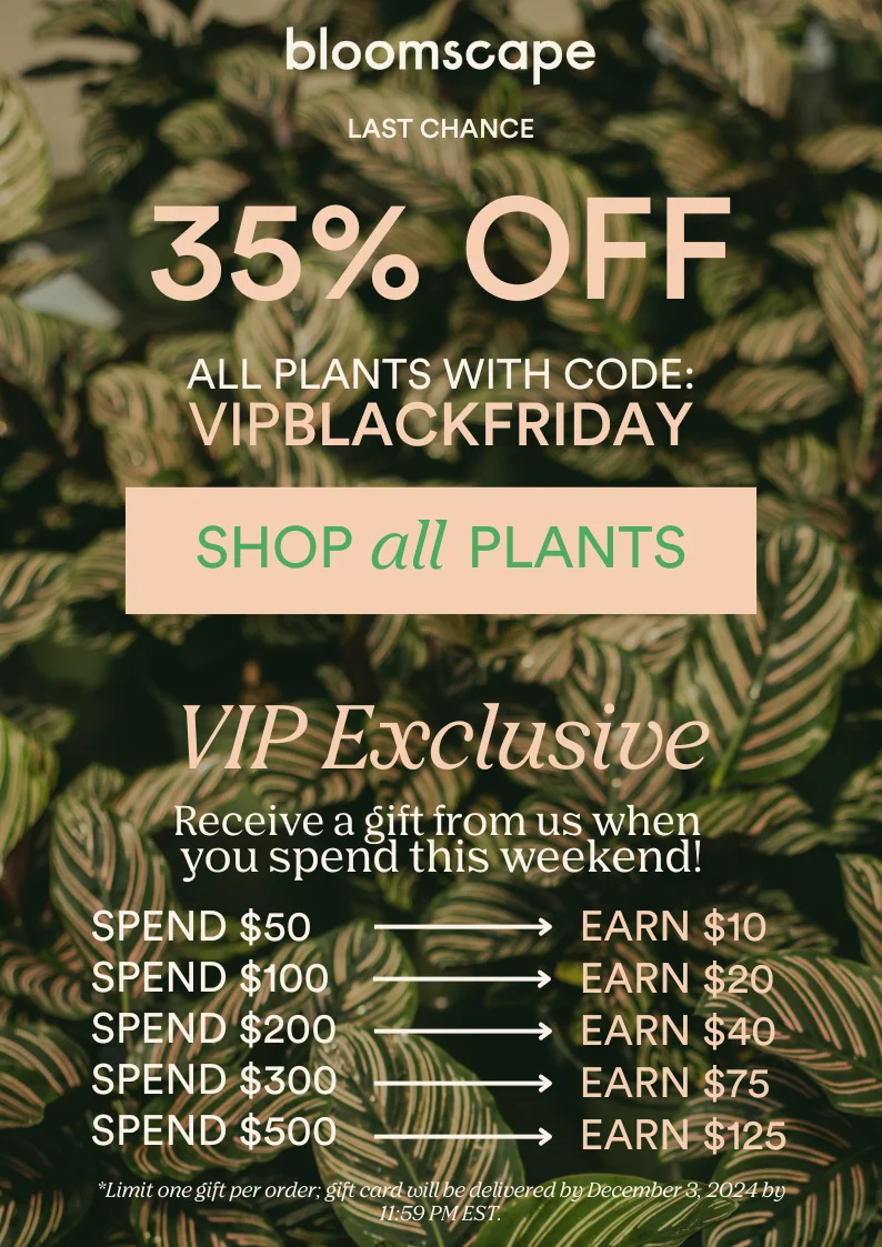 shop all plants with code VIPBLACKFRIDAY and receive a gift with purchase
