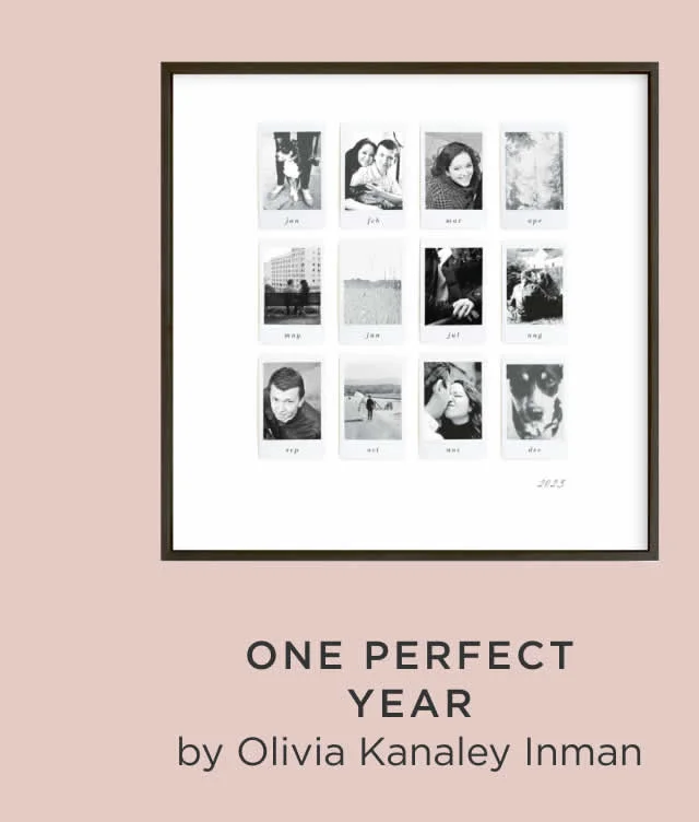 One Perfect Year