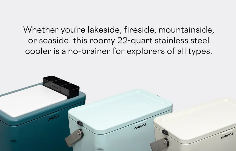 Shop New Limited Edition Icebox Stainless Cooler