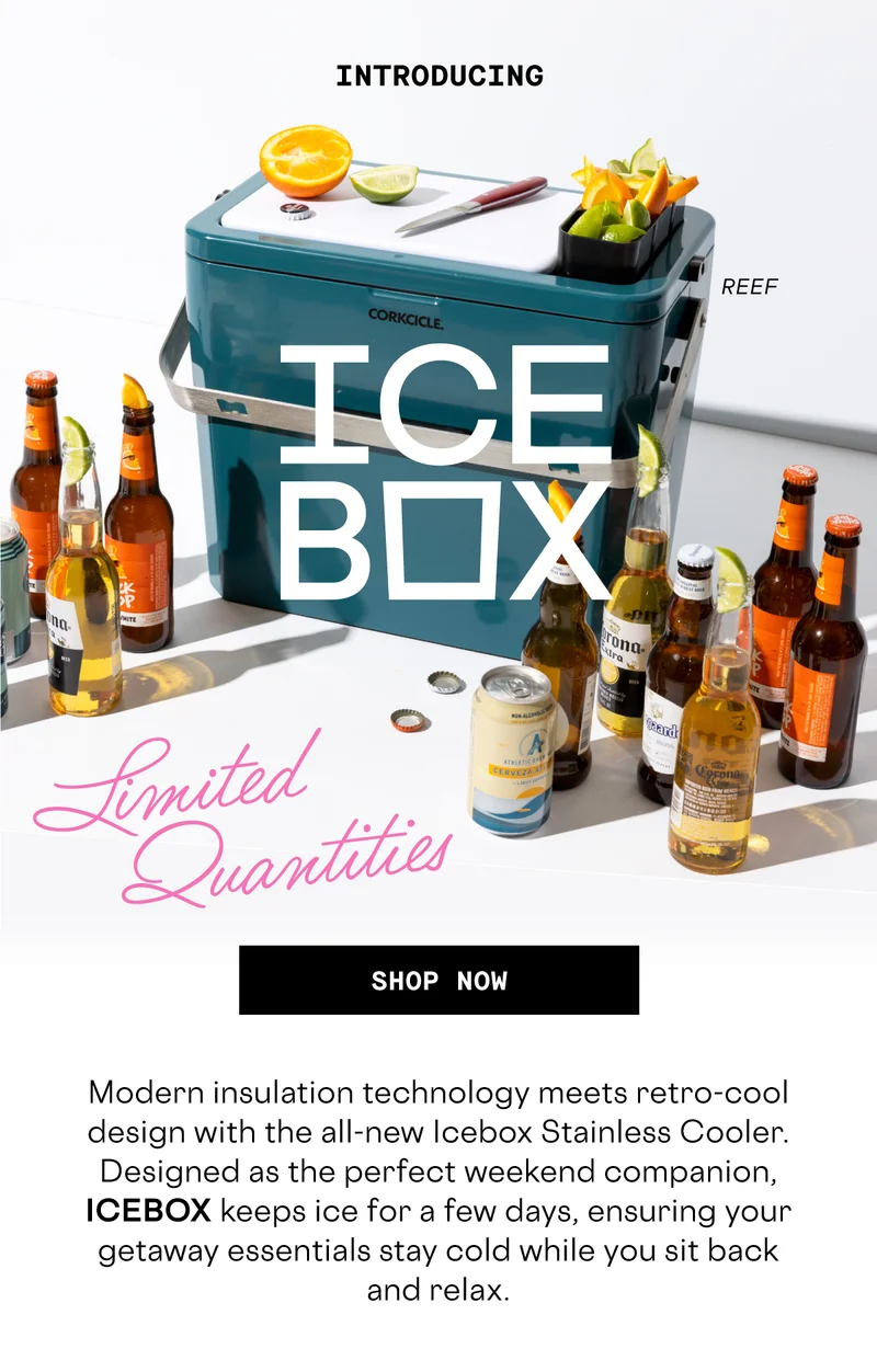 Shop New Limited Edition Icebox Stainless Cooler