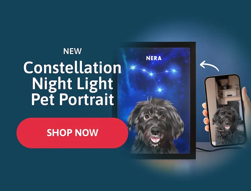NEW Constellation Pet Portrait Night Light.