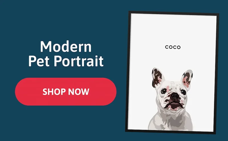 Modern Pet Portraits