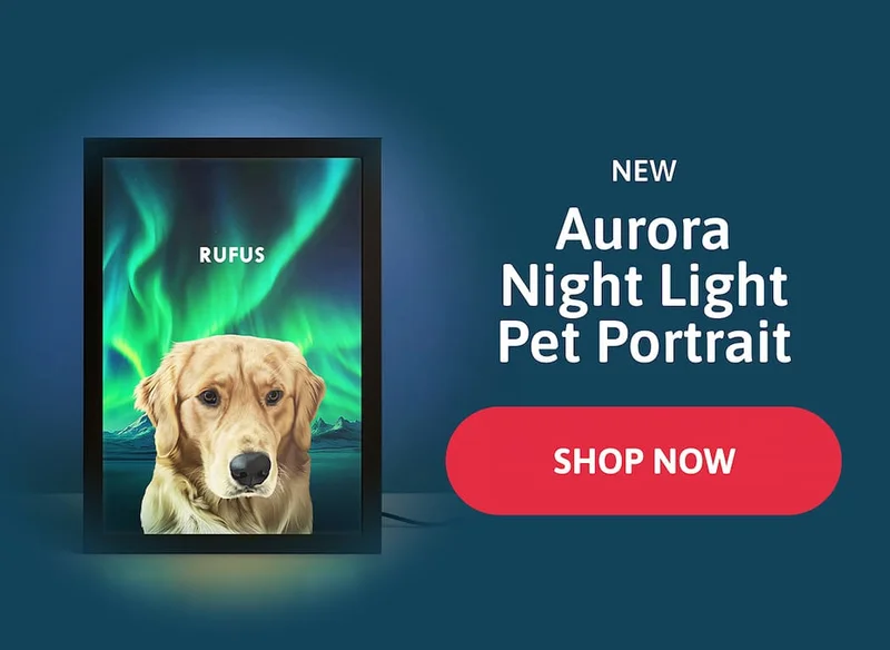 NEW Aurora Pet Portrait Night Light.