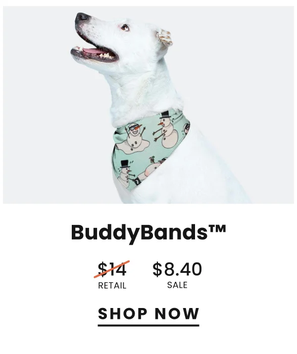 BuddyBands