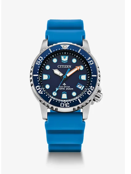 Promaster Dive