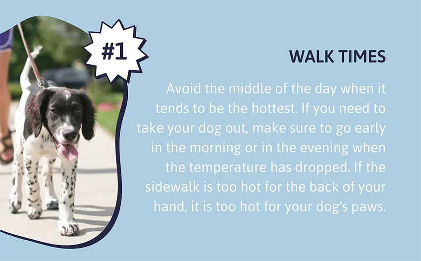 Walk times - Avoid the middle of the day when it tends to be the hottest. If you need to take your dog out, make sure to go early in the morning or in the evening when the temperature has dropped. If the sidewalk is too hot for the back of your hand, it is too hot for your dog's paws.