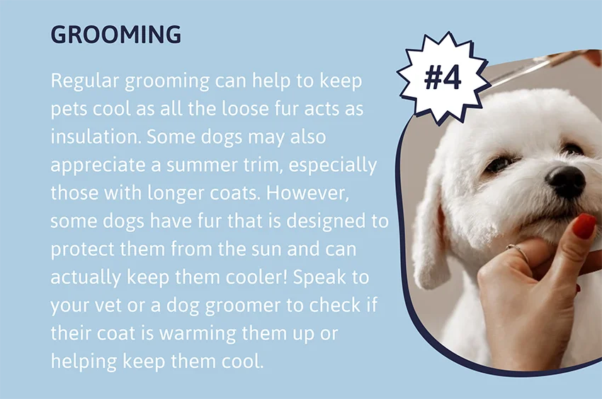 Grooming - Regular grooming can help to keep pets cool as all the loose fur acts as insulation. Some dogs may also appreciate a summer trim, especially those with longer coats. However, some dogs have fur that is designed to protect them from the sun and can actually keep them cooler! Speak to your vet or a dog groomer to check if their coat is warming them up or helping keep them cool.