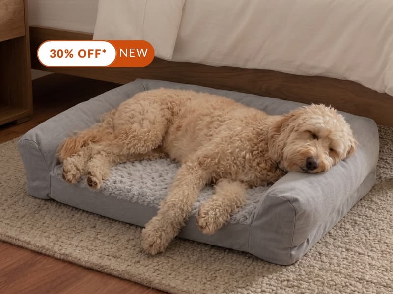 30% OFF* NEW Plush Bolster Pet Bed
