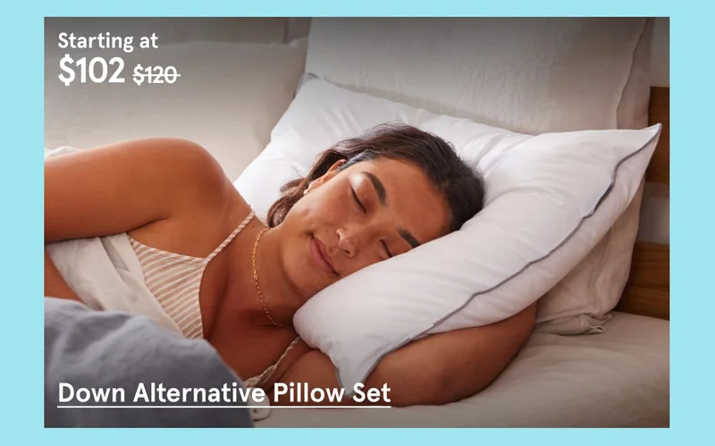 Down Alternative Pillow Set