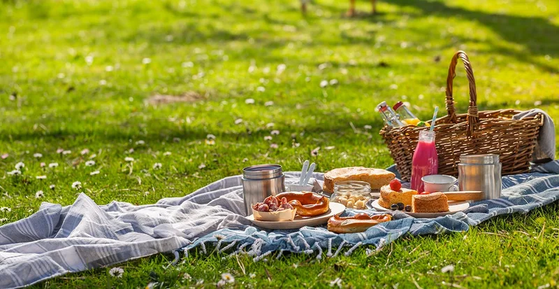 Healthy picnic checklist