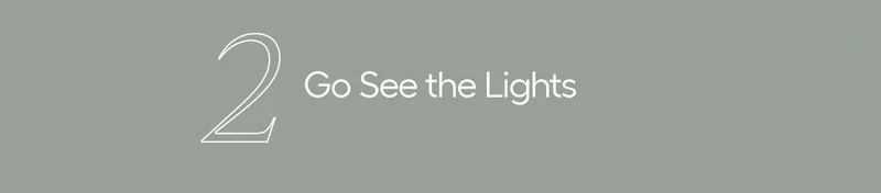 2. Go See The Lights