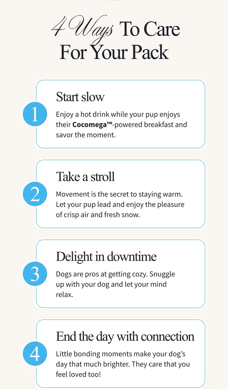 4 Ways To Care For Your Pack | 1 Start slow | Enjoy a hot drink while your pup enjoys their Cocomega™-powered breakfast and savor the moment. | 2 Take a stroll | Movement is the secret to staying warm. Let your pup lead and enjoy the pleasure of crisp air and fresh snow. | 3 Delight in downtime | Dogs are pros at getting cozy. Snuggle up with your dog and let your mind relax. | 4 End the day with connection | Little bonding moments make your dog’s day that much brighter. They care that you feel loved too! The best part of winter is the company. Nourish the friend who warms your heart. | SERVE THE BEST