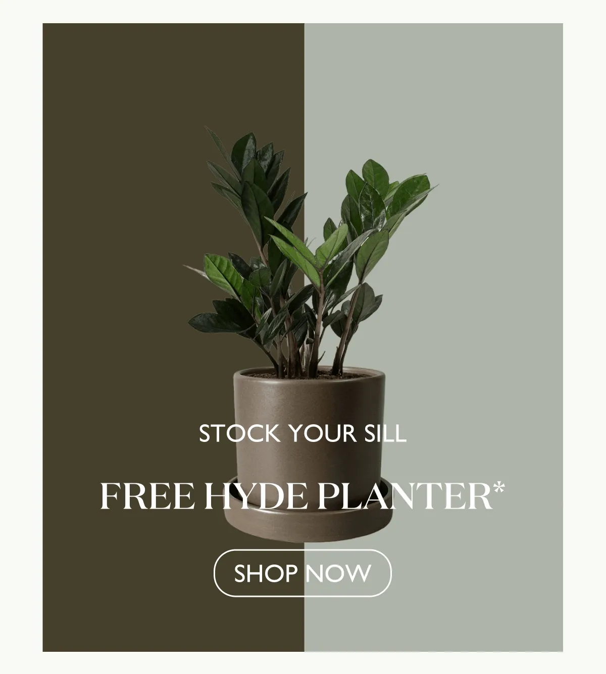 Stock Your Sill: Free Planter With Purchase