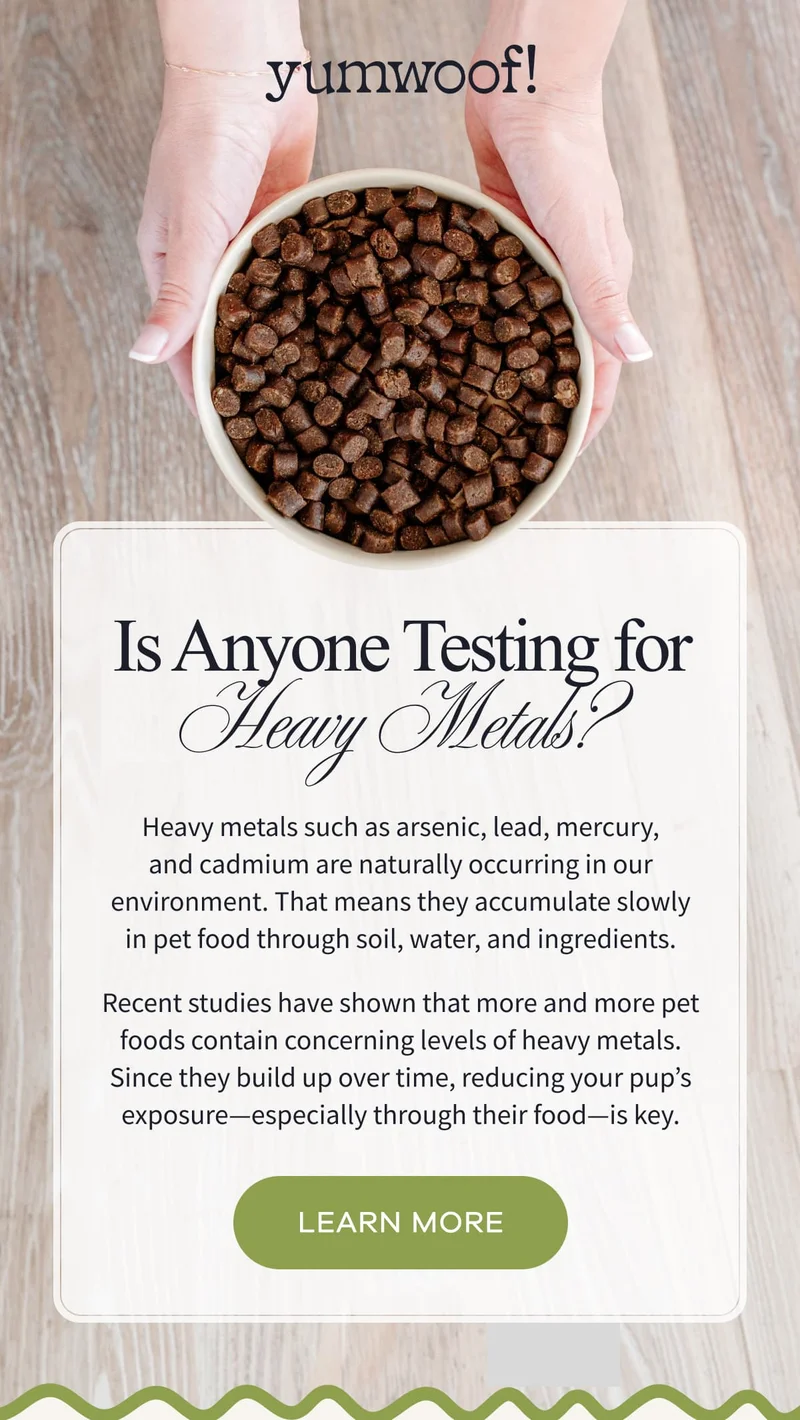 Yumwoof! | Is Anyone Testing for Heavy Metals? | Heavy metals such as arsenic, lead, mercury, and cadmium are naturally occurring in our environment. That means they accumulate slowly in pet food through soil, water, and ingredients. Recent studies have shown that more and more pet foods contain concerning levels of heavy metals. Since they build up over time, reducing your pup’s exposure—especially through their food—is key. | LEARN MORE