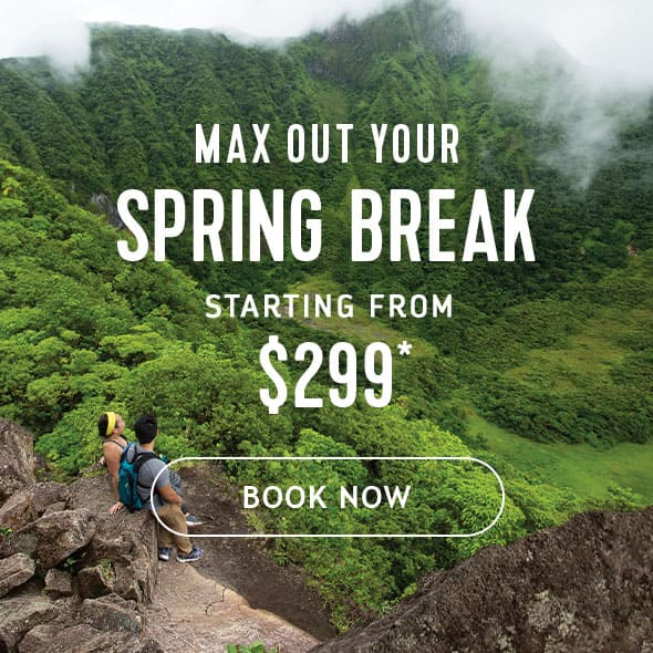 MAX OUT YOUR SPRING BREAK
