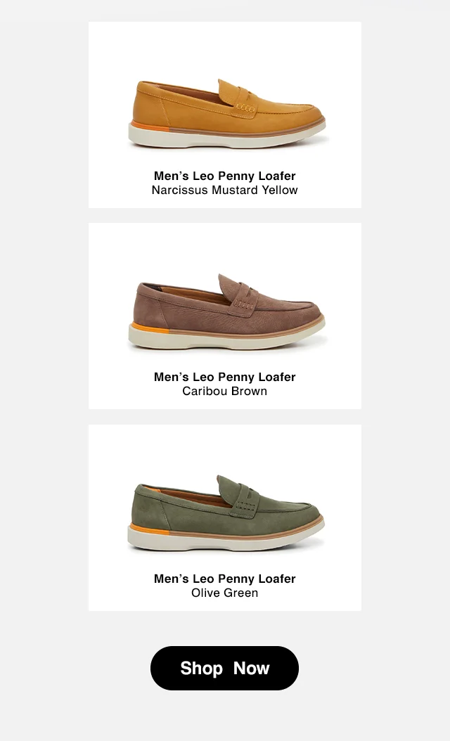 The Men's Leo Loafer