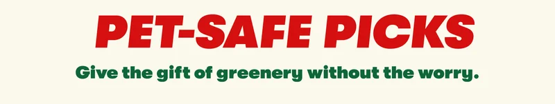 PET-SAFE PICKS Give the gift of greenery without the worry.