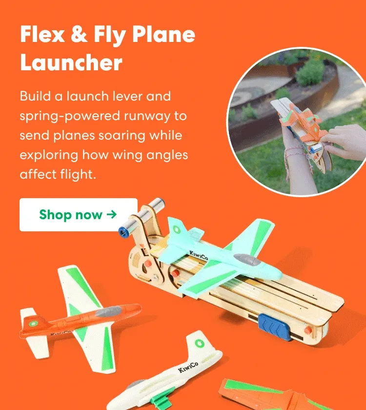 Flex & Fly Plane Launcher: build a launch lever and spring-powered runway to send planes soaring while exploring how wing angles affect flight.
