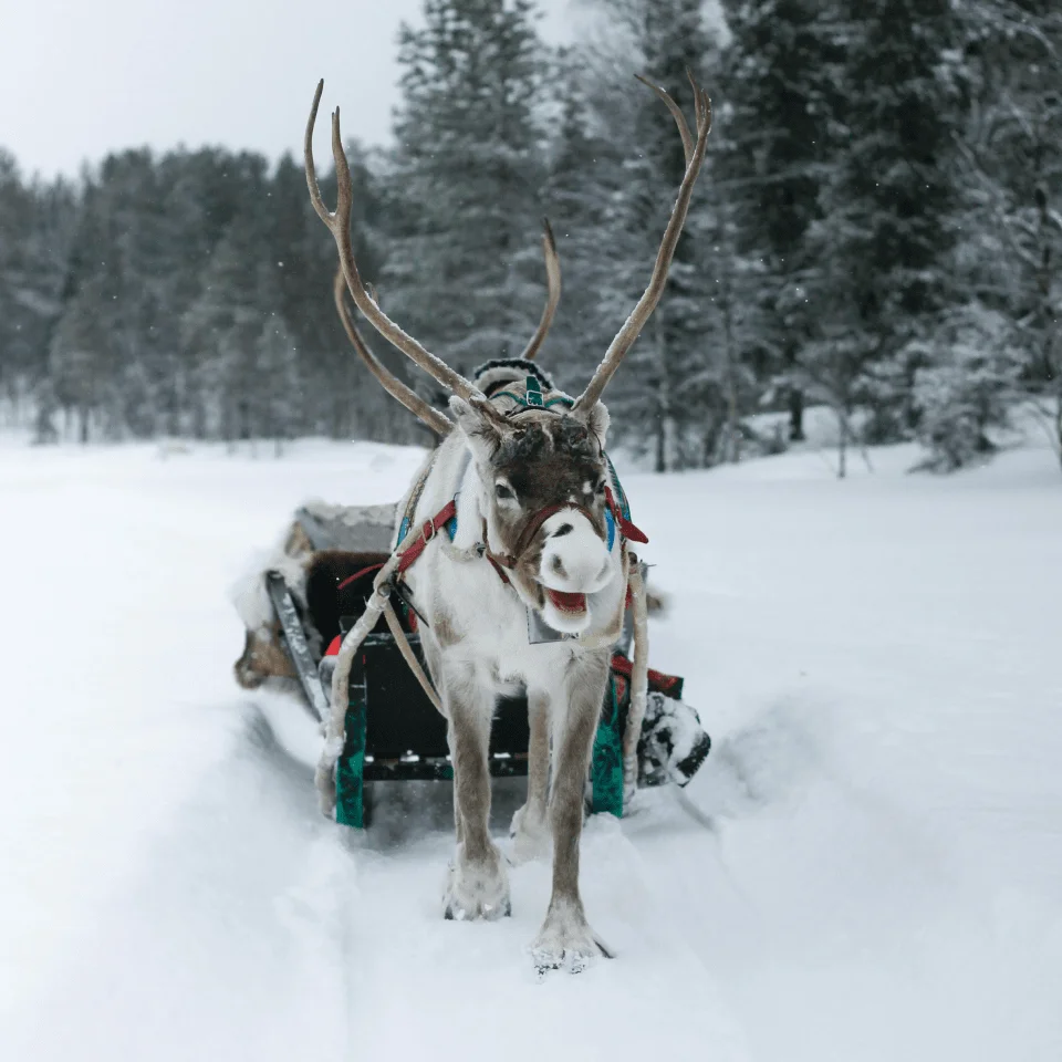 the ultimate santa experience