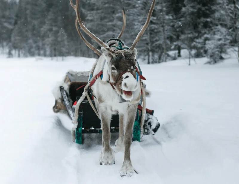 the ultimate santa experience