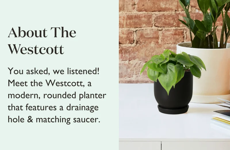 The Westcott features a drainage hole and matching saucer.