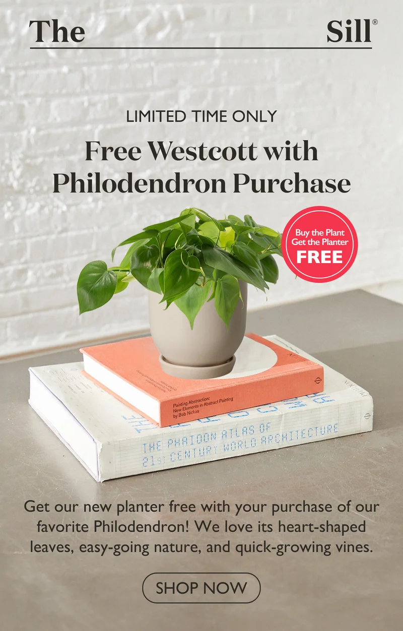 Get our new planter free with your purchase of our favorite Philodendron! Shop now.