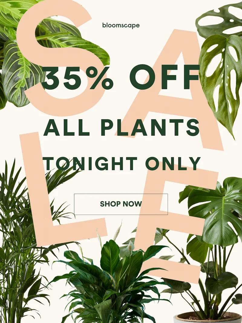 shop all plants 35% OFF tonight only